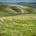 Above Watlowes, Malham